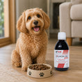 Load image into Gallery viewer, Salmon Oil Plus | Supports Brain, Heart & Joint Strength | Product of Canada