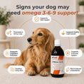 Load image into Gallery viewer, Omega 3-6-9 | Enhanced Skin and Coat Nutrition| Product of Canada