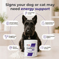 Load image into Gallery viewer, Energy PLUS | Supports Energy Levels and Vitality | 175g