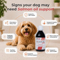 Load image into Gallery viewer, Salmon Oil Plus | Supports Brain, Heart & Joint Strength | Product of Canada