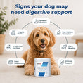 Load image into Gallery viewer, Digestion | Probiotics, Prebiotics & Digestive Enzymes | 105g