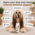 Load image into Gallery viewer, TCW | Supports Internal Balance | Product of Canada | 30 capsules