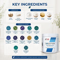 Load image into Gallery viewer, Digestion | Probiotics, Prebiotics & Digestive Enzymes | 105g