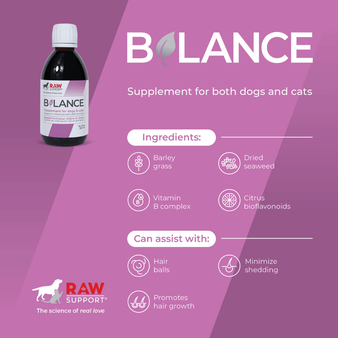Balance | Supports Micronutrient Deficiencies | 250ml - Raw Support Inc