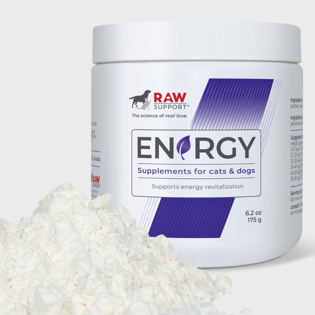Energy | Recovery & Vitality | 175g - Raw Support Inc