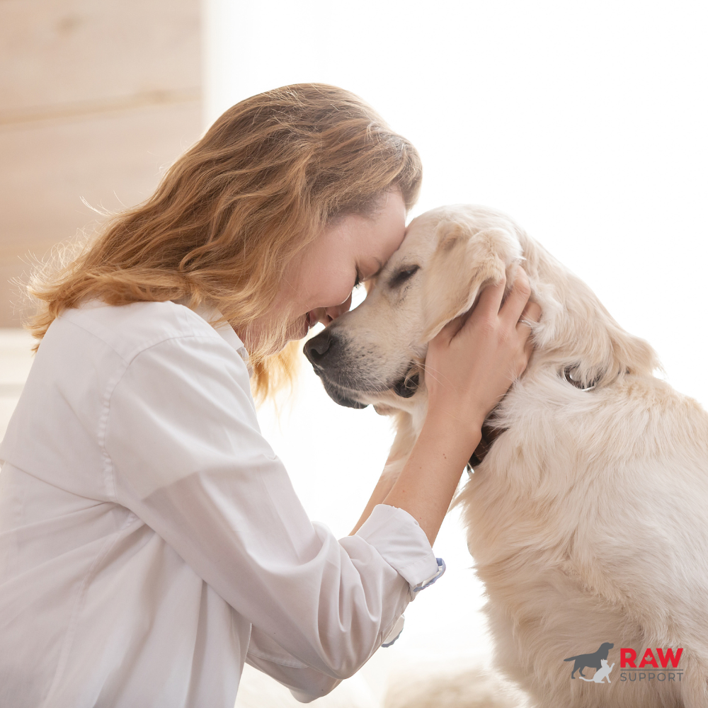 MSM for Dogs: Supporting Joint Function and Mobility Naturally