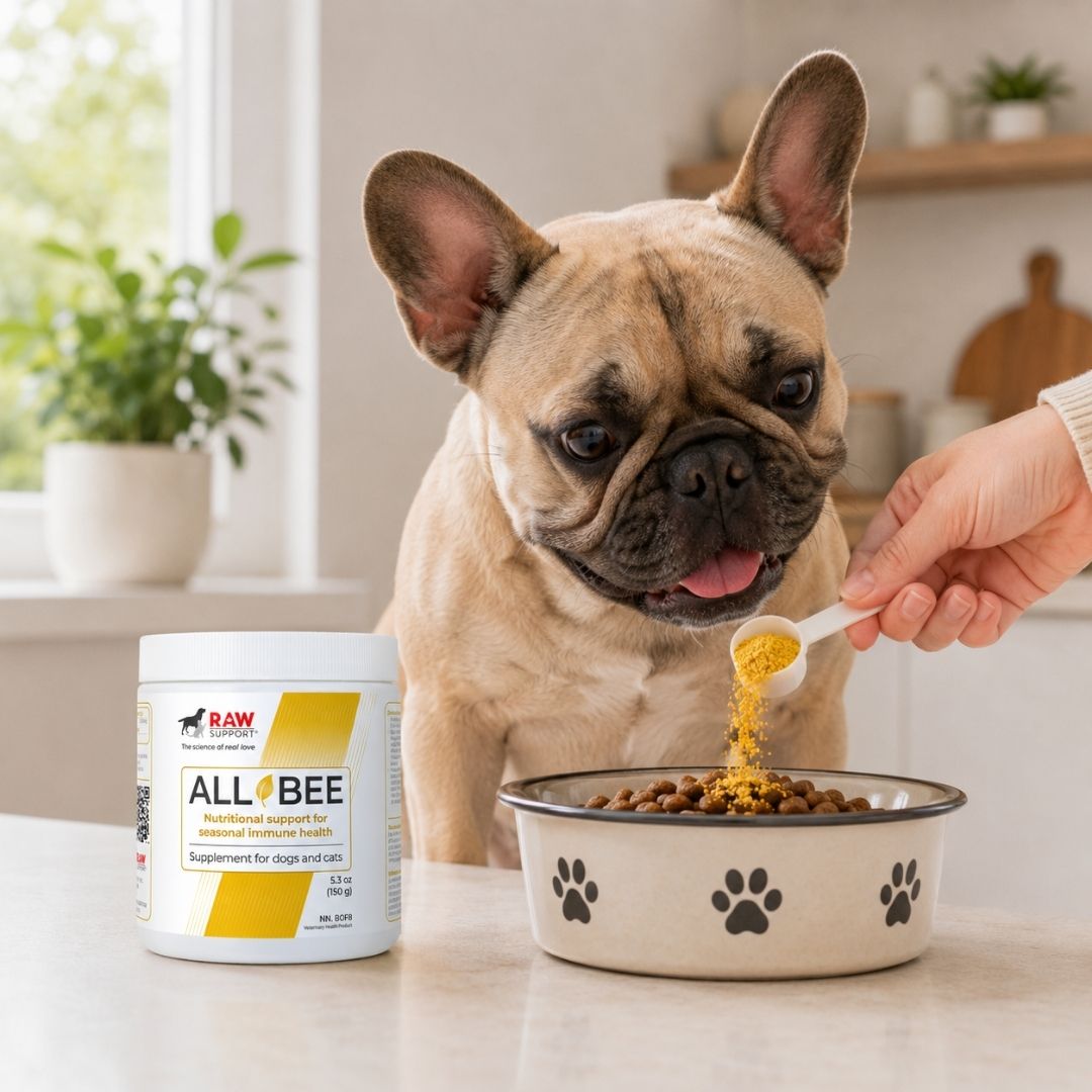 All Bee | Nutrional Support for Seasonal Immune Health | 150g