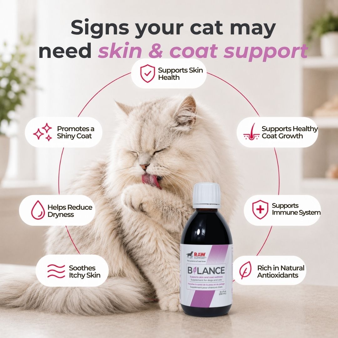 Balance | Supports Skin and Coat Wellness | 250ml