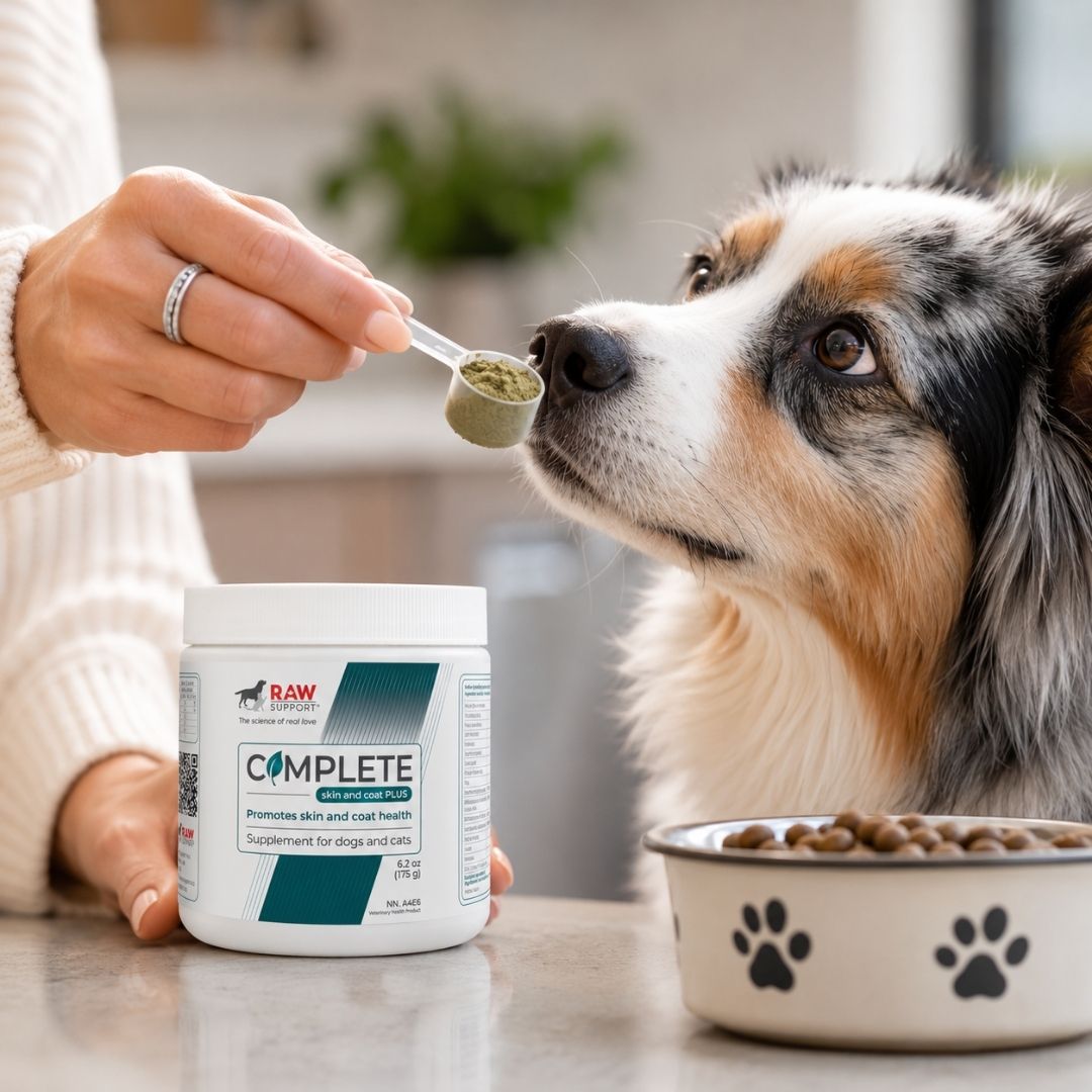 Complete Skin & Coat PLUS | Skin & Coat Supplement for Dogs and Cats | 175g