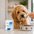 Load image into Gallery viewer, Digestion | Probiotics, Prebiotics & Digestive Enzymes | 105g
