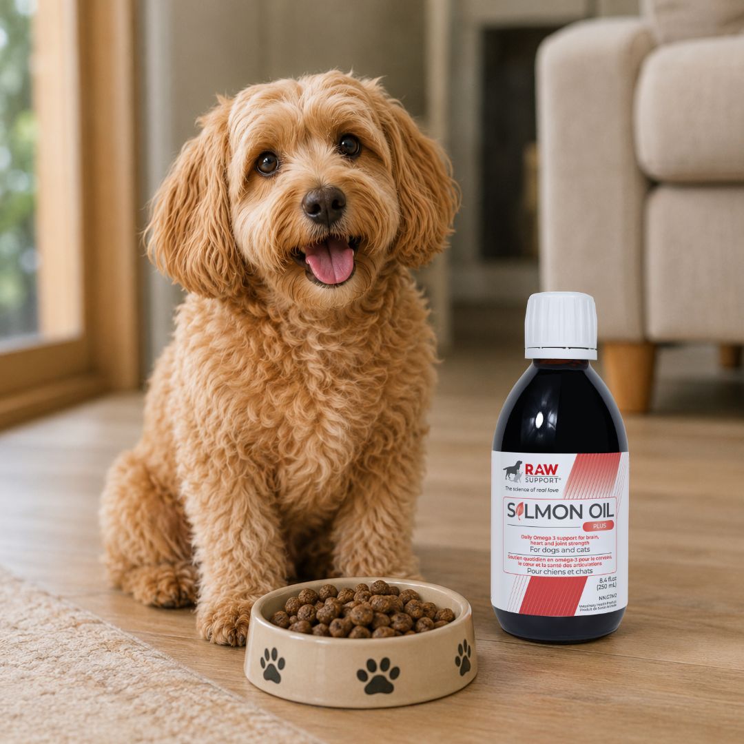 Salmon Oil Plus | Supports Brain, Heart & Joint Strength | Product of Canada