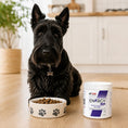 Load image into Gallery viewer, Energy PLUS | Supports Energy Levels and Vitality | 175g
