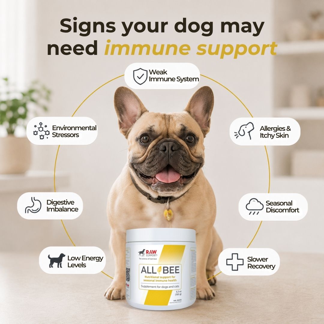 All Bee | Nutrional Support for Seasonal Immune Health | 150g