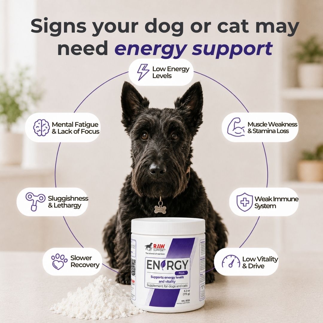 Energy PLUS | Supports Energy Levels and Vitality | 175g