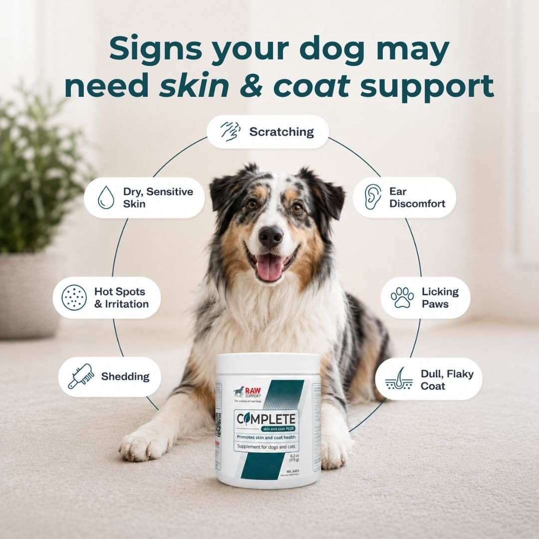 Complete Skin & Coat PLUS | Skin & Coat Supplement for Dogs and Cats | 175g