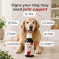 Load image into Gallery viewer, Joint Supplement | Glucosamine, MSM & Mobility Support | 250ml
