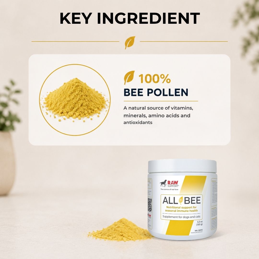 All Bee | Nutrional Support for Seasonal Immune Health | 150g