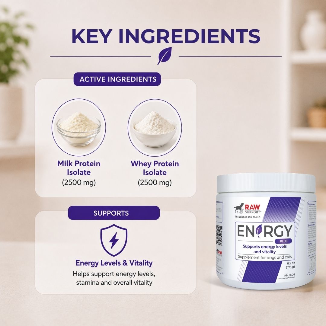 Energy PLUS | Supports Energy Levels and Vitality | 175g