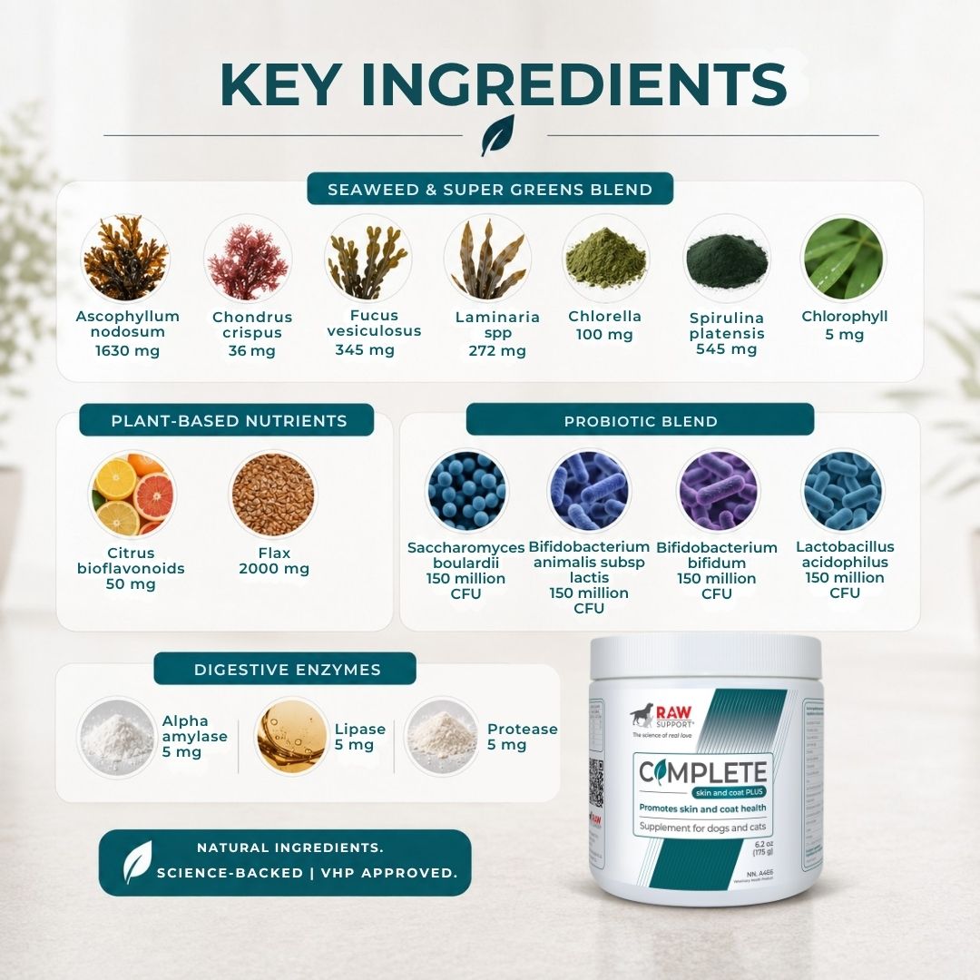 Complete Skin & Coat PLUS | Skin & Coat Supplement for Dogs and Cats | 175g