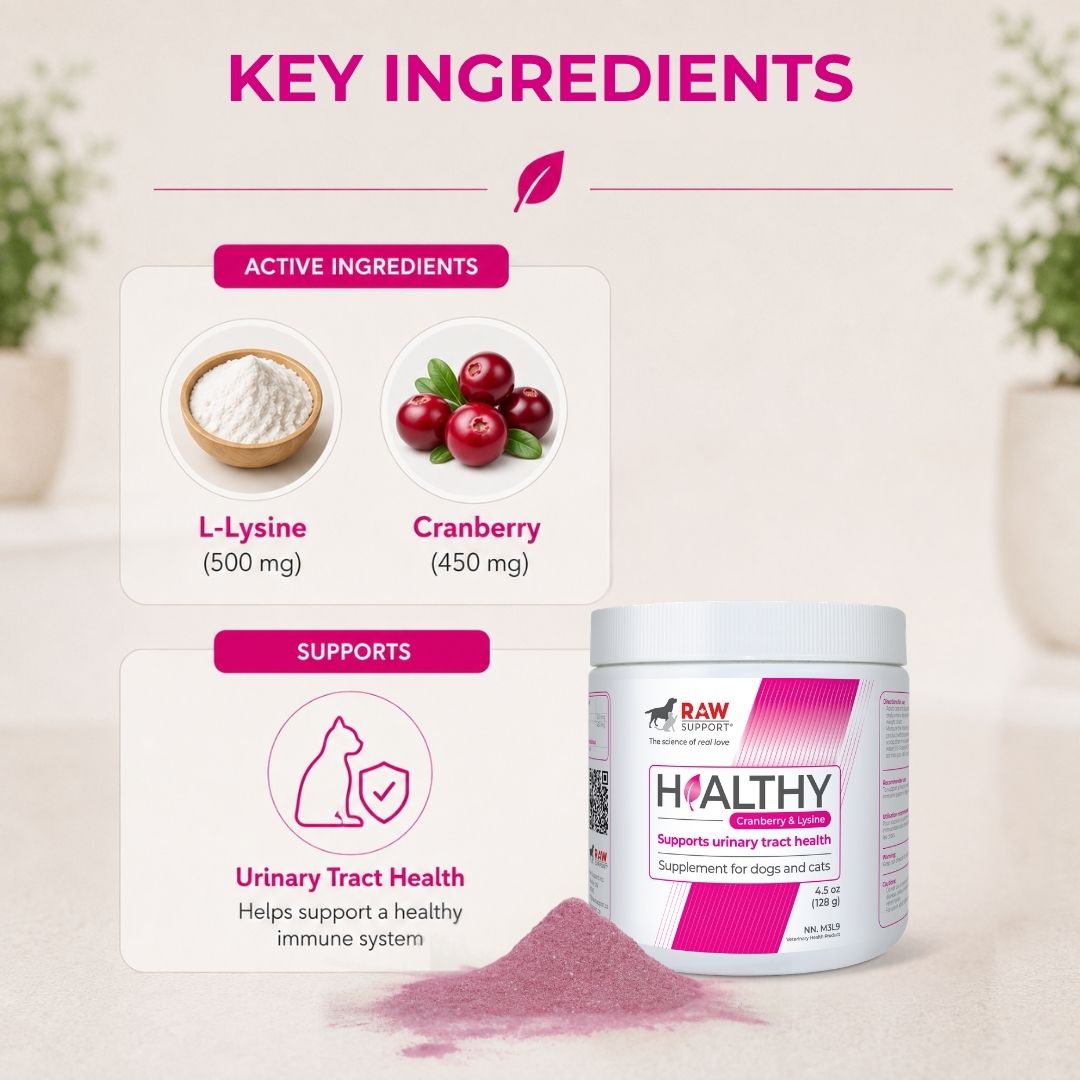 Healthy Cranberry & L-Lysine for Dogs & Cats | Urinary & Immune Support | 128g