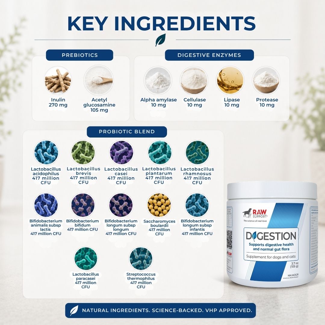 Digestion | Probiotics, Prebiotics & Digestive Enzymes | 105g