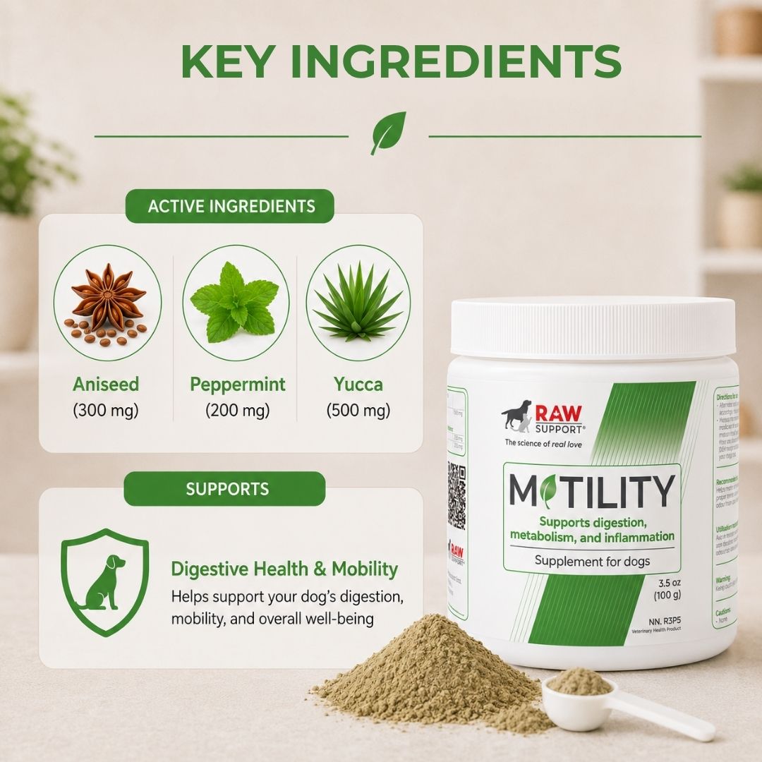 Motility | Supports Digestion, Metabolism, and Inflammation  | 100g