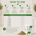 Load image into Gallery viewer, Motility | Supports Digestion, Metabolism, and Inflammation  | 100g
