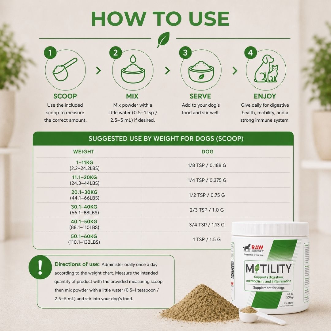 Motility | Supports Digestion, Metabolism, and Inflammation  | 100g