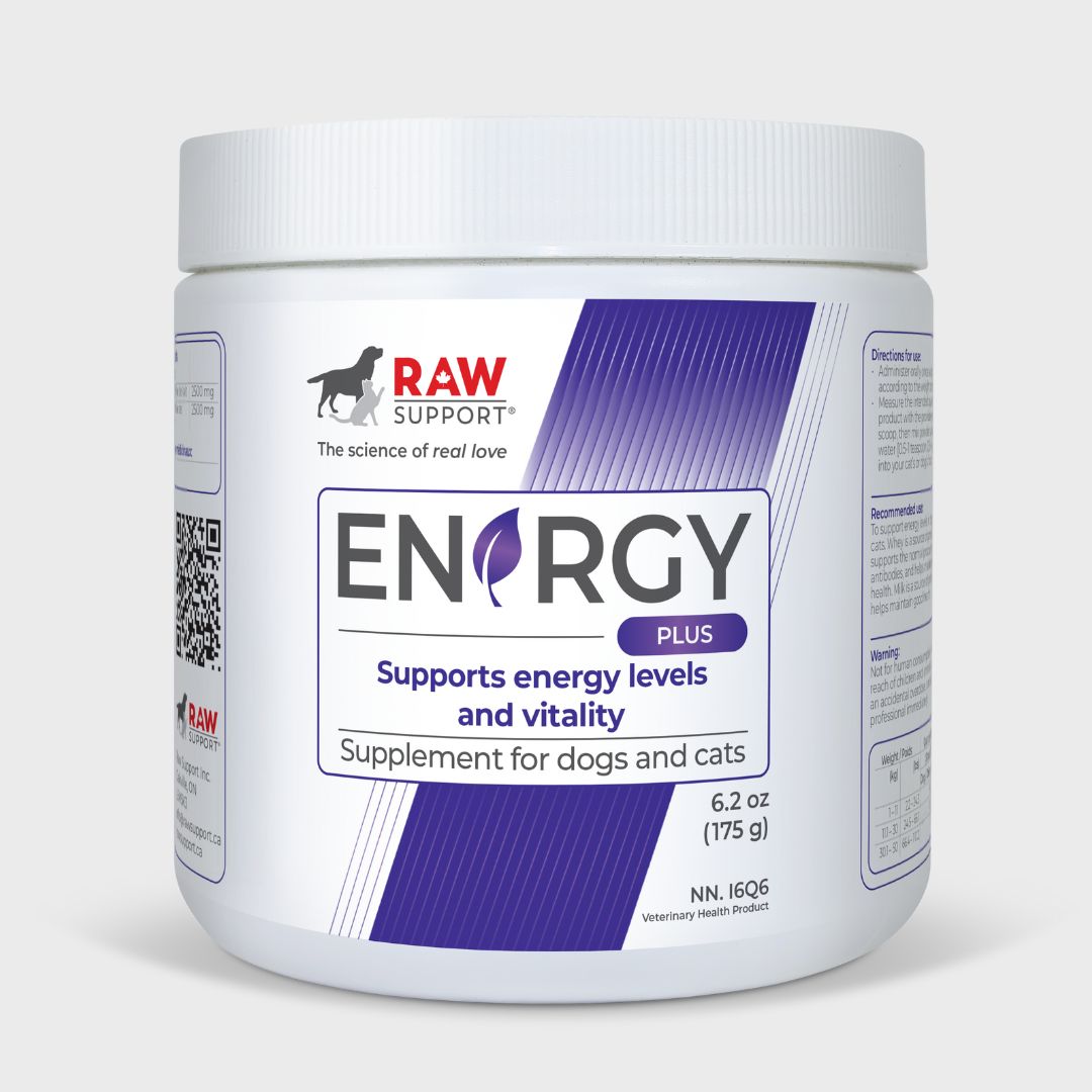Low Energy – Raw Support Inc