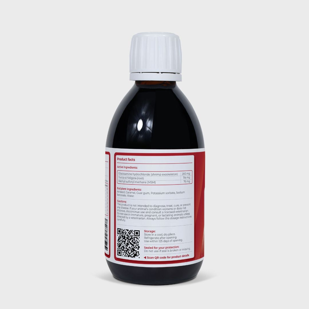 Joint | Supports Healthy Joints and Cartilage | 250ml | USA