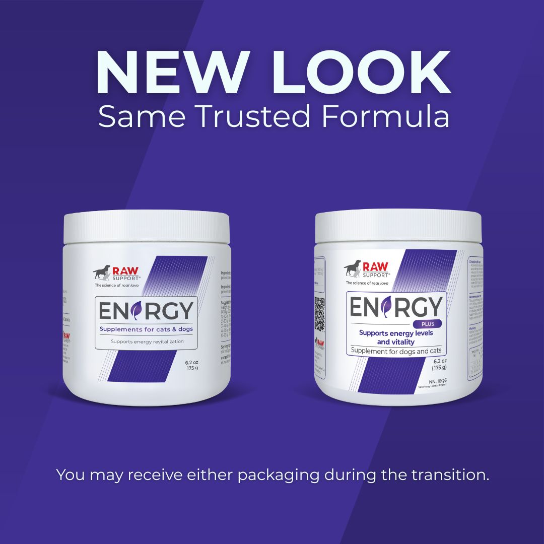 Energy | Récupération et Vitalité | 175g